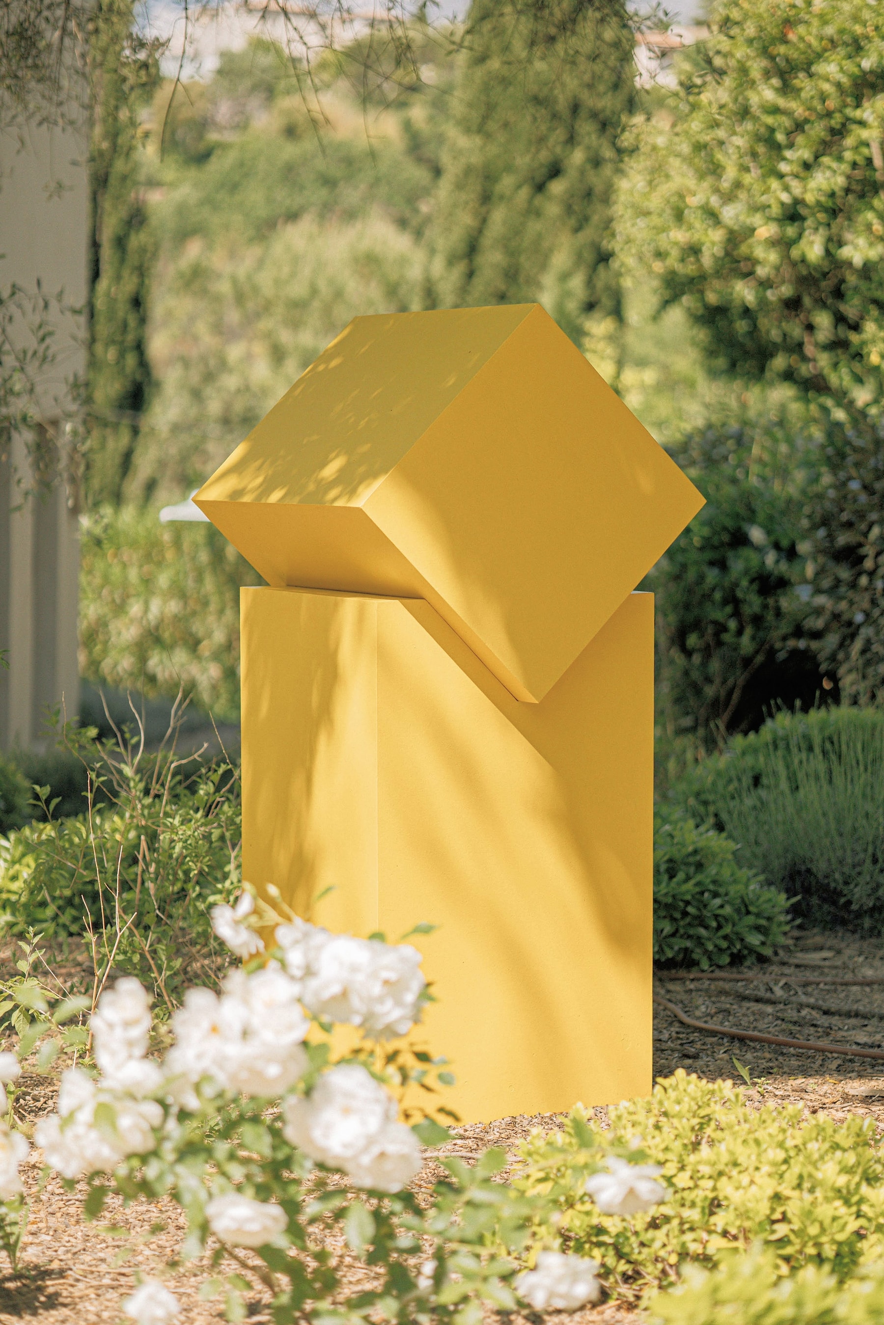 Art at Toile Blanche