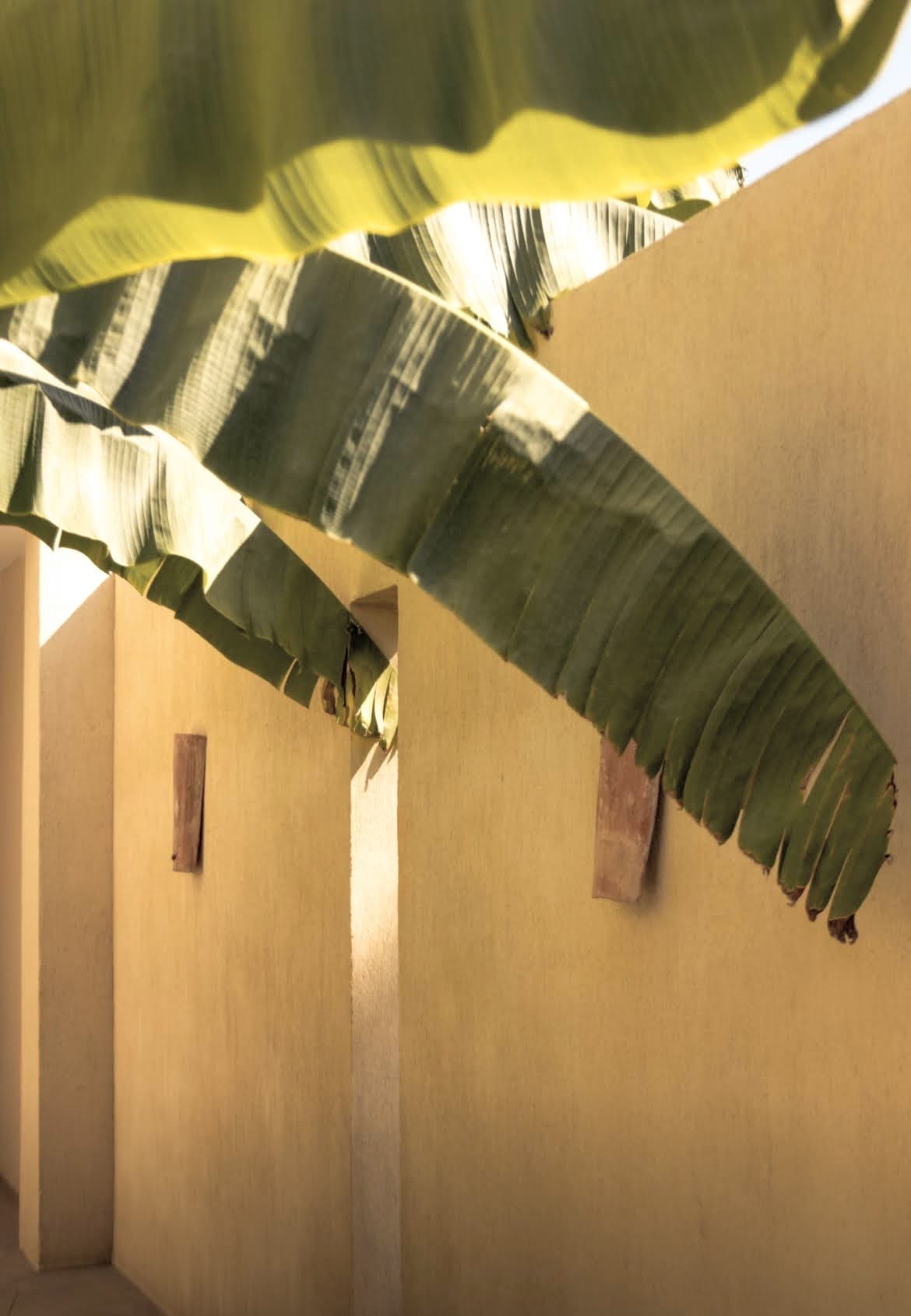 Atmosphere at Toile Blanche