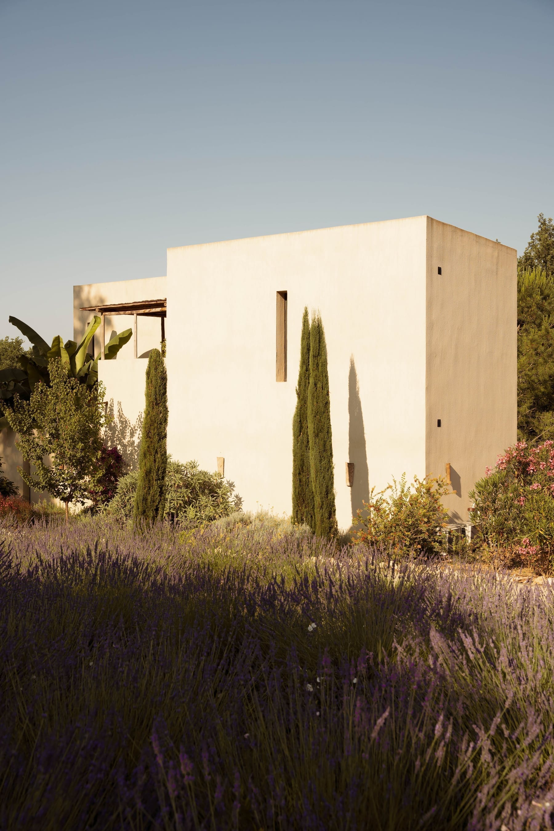 Pool and courtyard from above